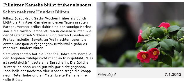 2012-01-07, Kamelie.jpg